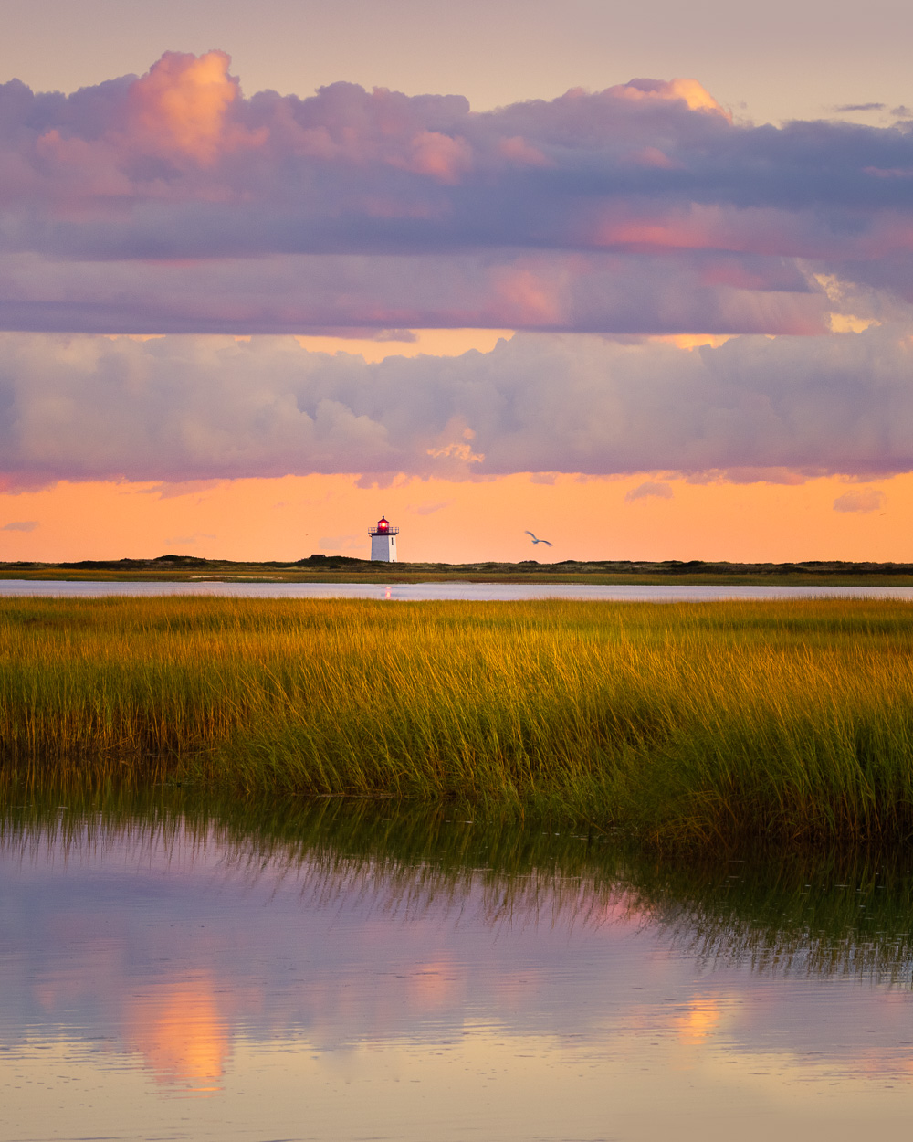 Cape Cod