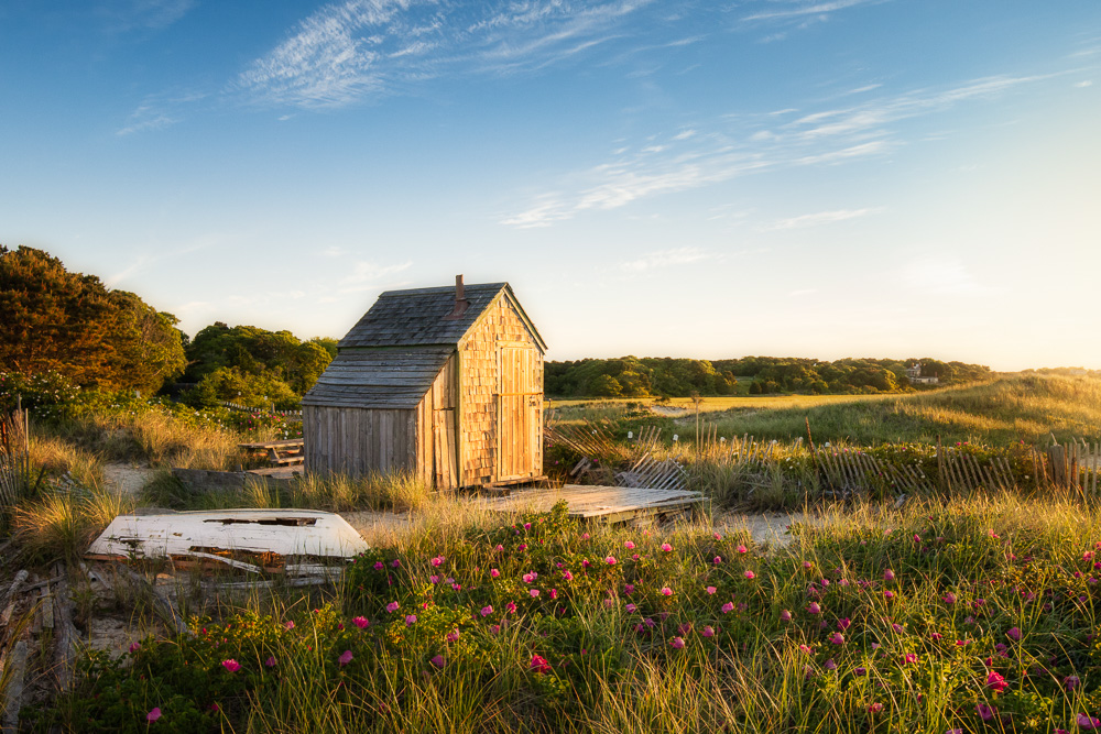 Cape Cod