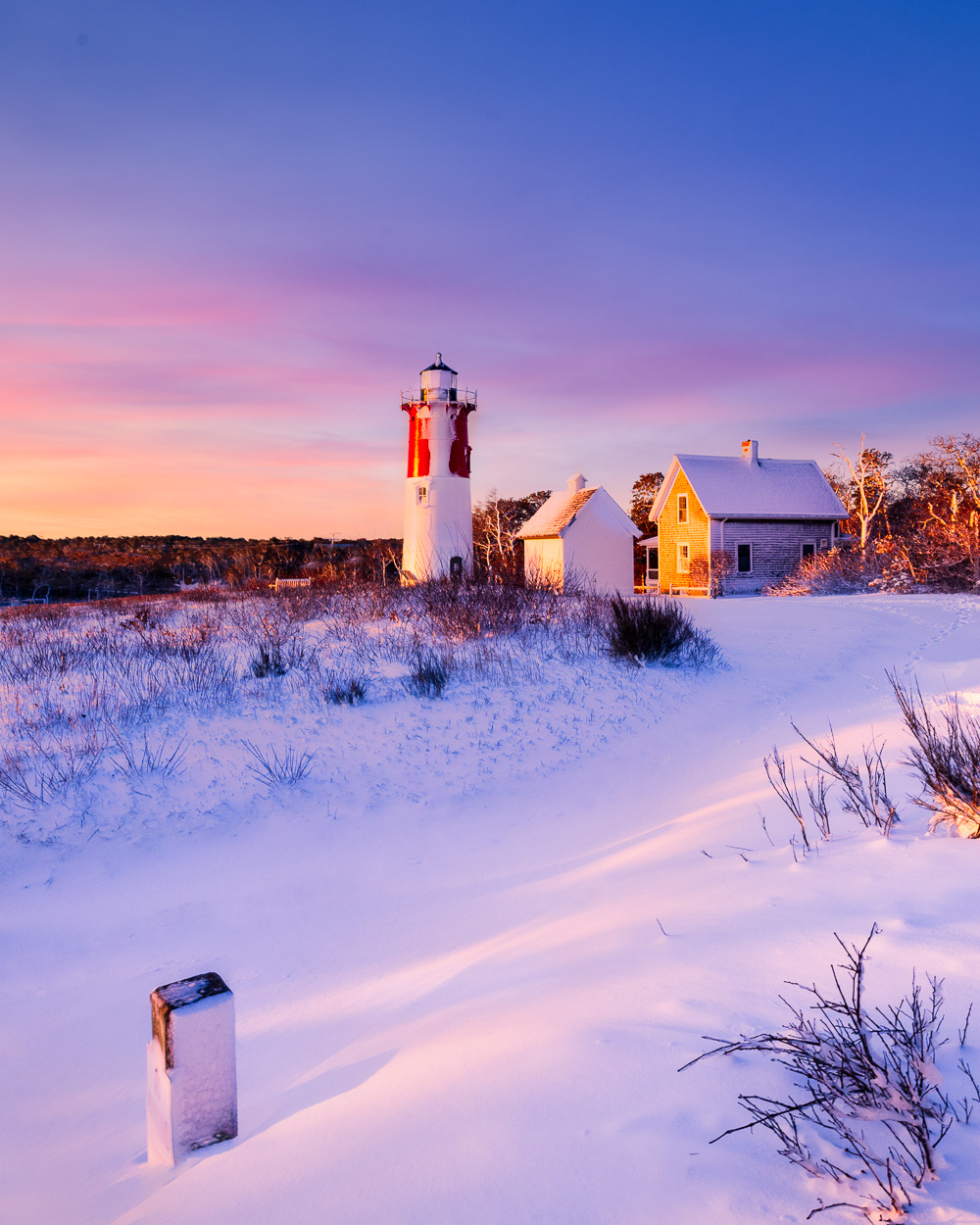 holiday winter